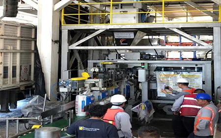 Automatic bagging and palletizing equipment for ISAOSA company in Mexico