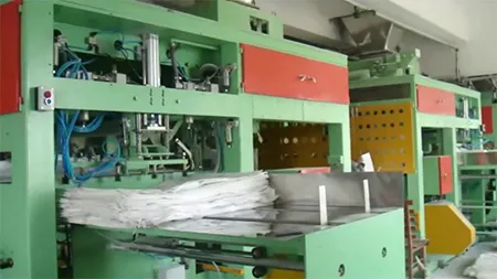 Automatic Weighing, Bagging and Palletizing Line
