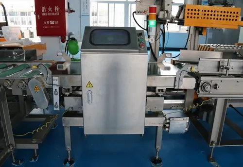 Metal Detector