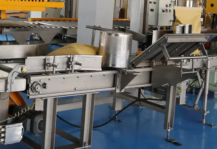 Bag handling conveyor
